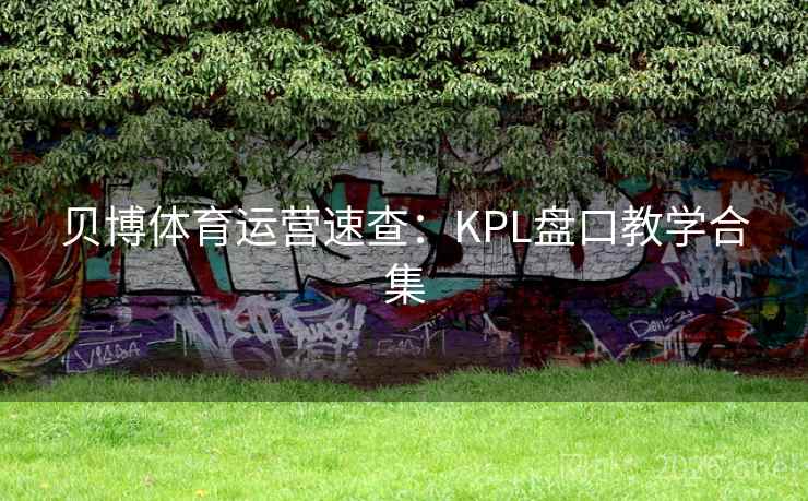 贝博体育运营速查：KPL盘口教学合集