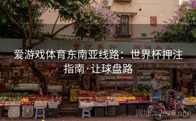 爱游戏体育东南亚线路：世界杯押注指南·让球盘路