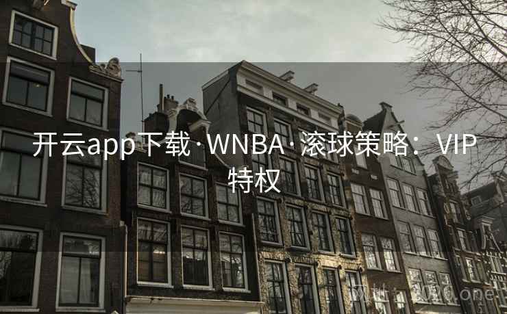 开云app下载·WNBA·滚球策略：VIP特权