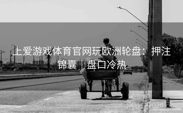 上爱游戏体育官网玩欧洲轮盘：押注锦囊｜盘口冷热