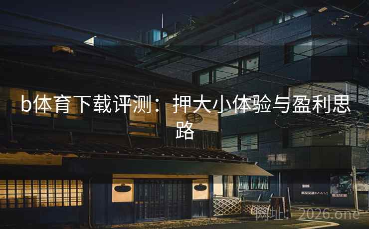 b体育下载评测：押大小体验与盈利思路